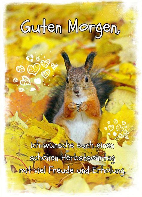 guten morgen gruß herbst|herbstgedicht.